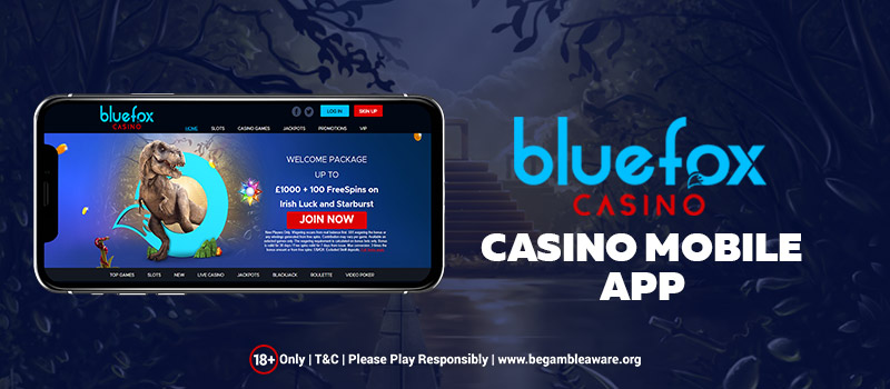 Bluefox Casino App Is Now Available on Android devices