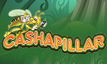 Cashapillar