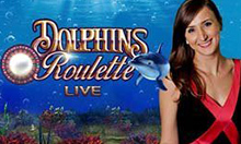 Dolphin's Roulette
