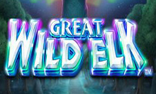 Great Wild Elk