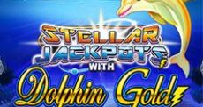 Dolphin Gold Stellar Jackpots