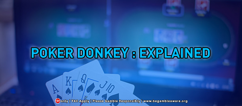 What Is Poker Donkey?