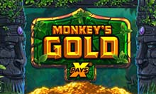 Monkey’s Gold x Pays